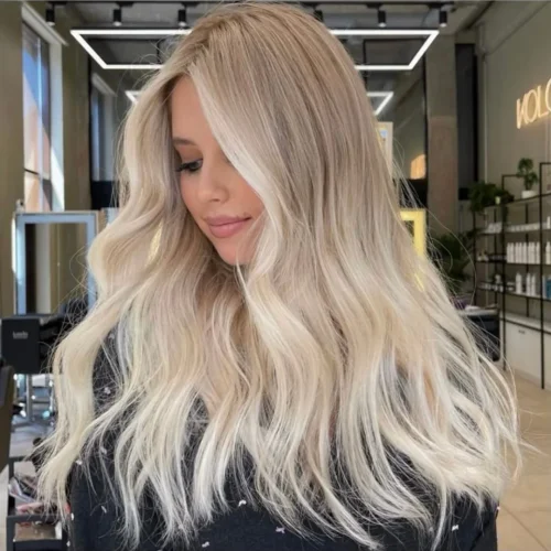 ombre_sac_salon-linda (4)
